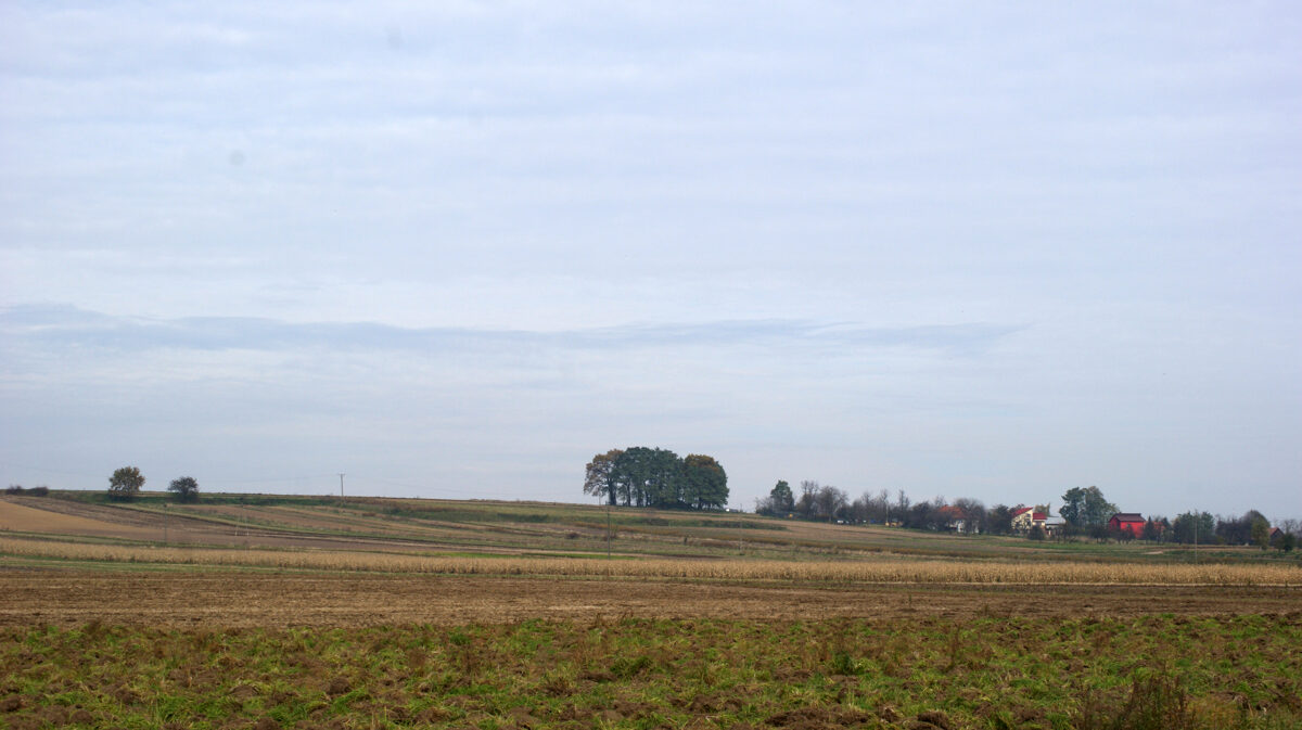 Evangelical-Augsburg__Lutheran__Cemetery__main_view_from_SW__Luczanowice_Nowa_Huta_Krakow_Poland.jpg